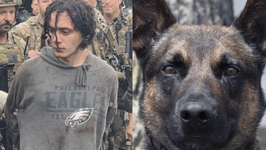 O cão Yoda conteve o brasileiro Danilo Cavalcante quando ele tentava escapar de cerco policial na Pensilvânia