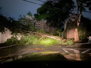 Aneel cobra providências da Enel e fala em rever concessão