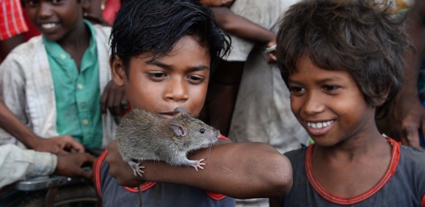 Crianças observam rato, que depois será assado e servido às pessoas da comunidade dos "musahars", na aldeia de Alampur Gonpura, na Índia - Sajjad Hussain/AFP