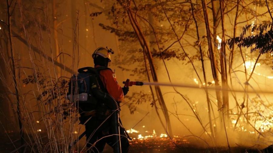 Foram destacadas seis viaturas e 35 brigadistas para atender a ocorrência - Divulgação/Bombeiros DF