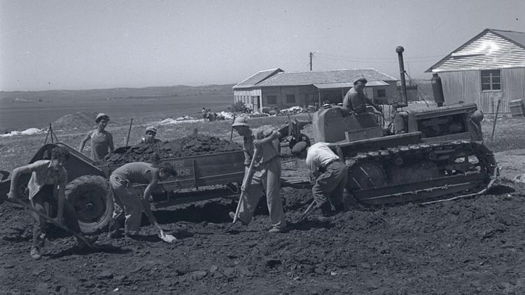 Membros do Kibutz Bror Hayil trabalhando na agricultura em 1951