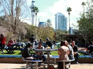 University of Auckland: veja a bolsa de estudo internacional