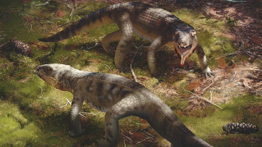 Caipirasuchus catanduvensis, espécie que viveu no país há 85 milhões de anos