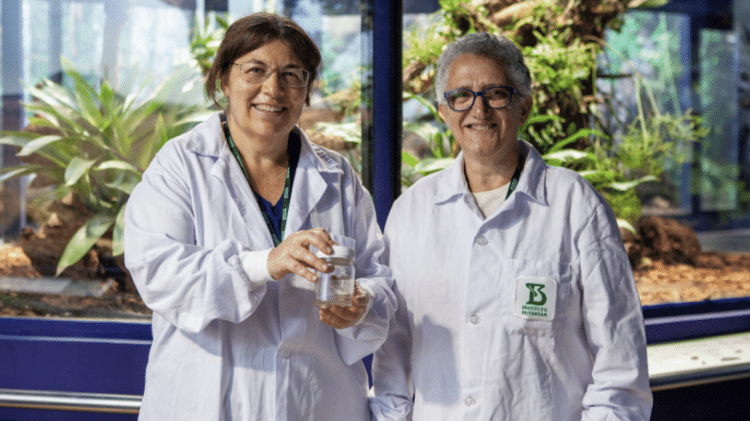 Silvia Cardoso, à esquerda, e Circe Albuquerque, à direita, responsáveis pela descoberta