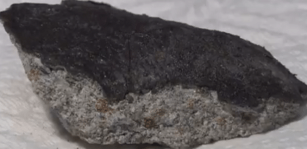 Meteorito de 550 gramas foi encontrado na cidade de Komaki, no Japão  - NHK News Web/Divulgação