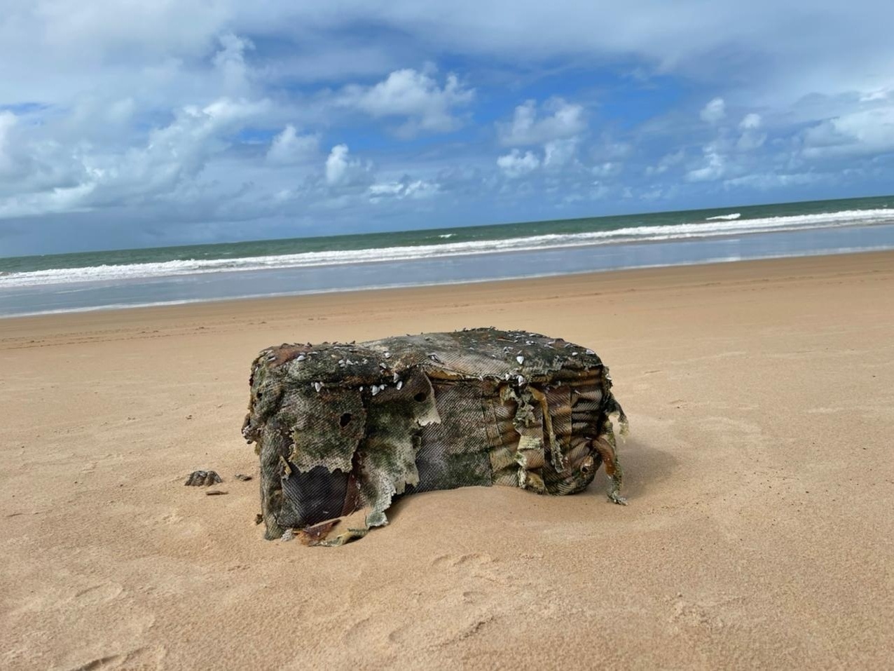 Fardos de navio nazista afundado reaparecem em Alagoas