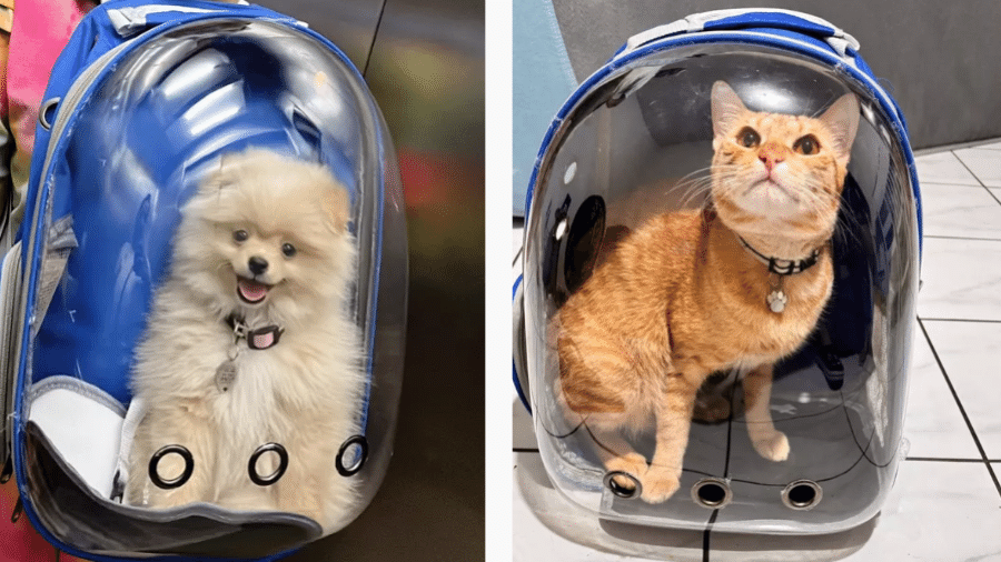 Mochila para pets tem pontos de ventilação e alça de mão Mochila para pets tem pontos de ventilação e alça de mão