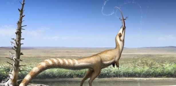 Sinosauropteryx Image caption Apesar de ser carnívoro, Sinosauropteryx vivia sob constante ameaça - Robert Nicholls