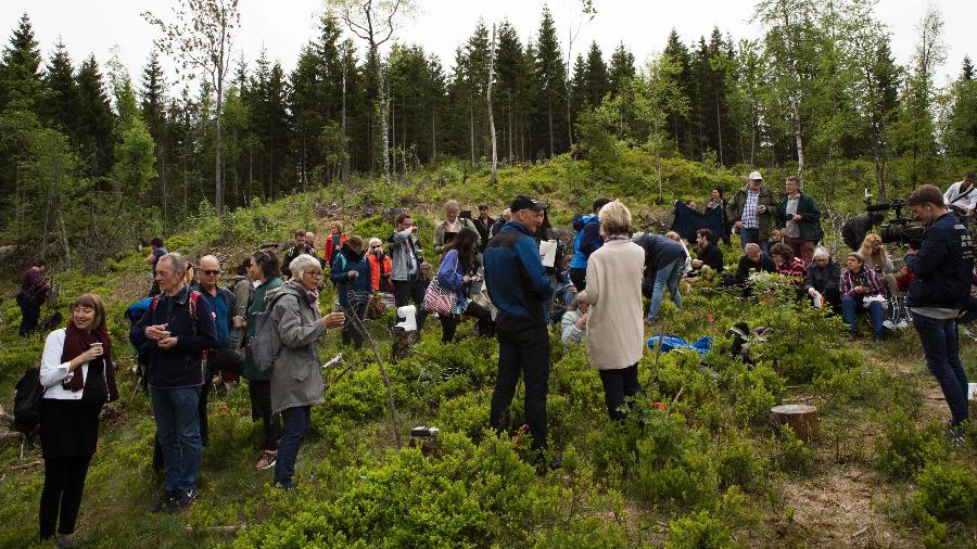 Noruegueses se reúnem em uma pequena clareira em uma floresta nos arredores de Oslo para catalogar espécies de árvore - Bjorvika Utvikling / Kristin von Hirsch / AFP