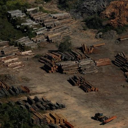 Toras de madeira vistas durante operação do Ibama de combate ao desmatamento ilegal em Apuí, no Amazonas - BRUNO KELLY