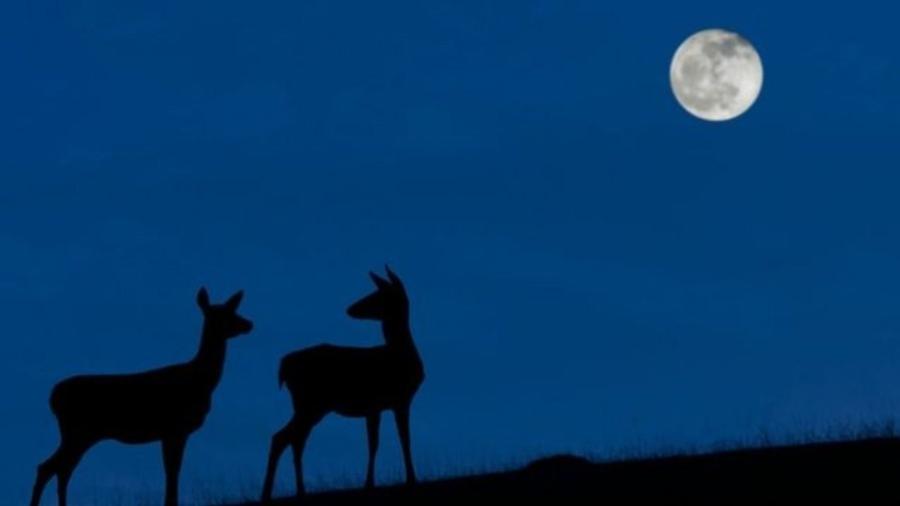A "Lua Azul" poderá ser vista na noite de 31 de outubro quando o céu estiver limpo. - Getty Images
