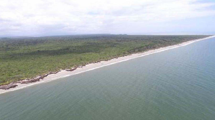 Praia de Ilha Comprida, no litoral de São Paulo - Arquivo Pessoal/Júlio Cesar Ferreira