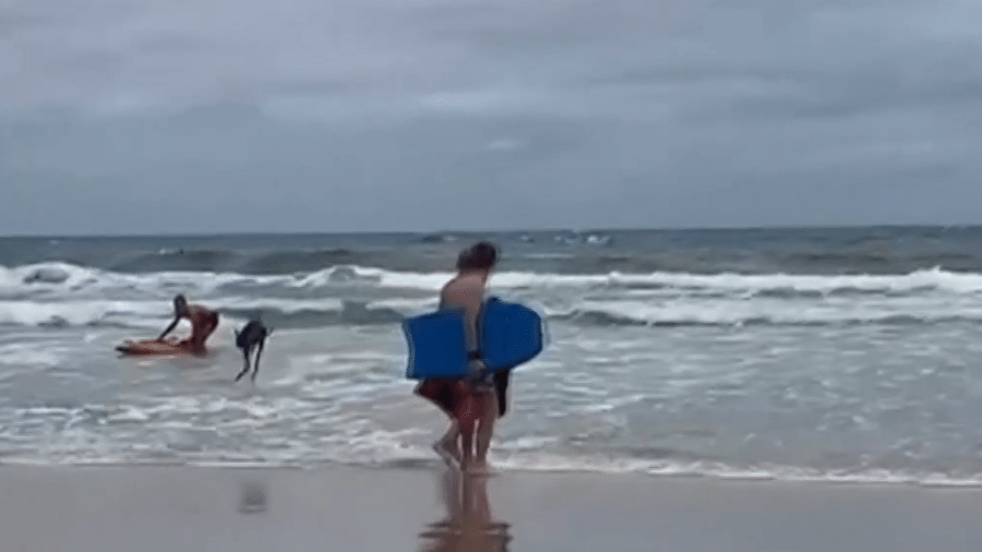 Momento em que o canguru consegue sair do mar - Reprodução/ABC Australia