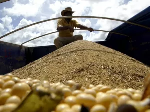 Gigantes do agro apostam na ciência para driblar crise climática