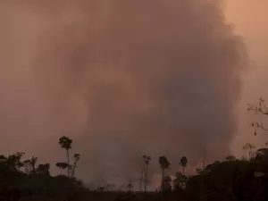 Fumaça de queimadas na Amazônia chega a Buenos Aires