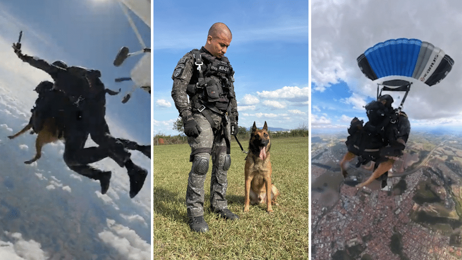 O cão policial Coyote, de 3 anos, realizou o primeiro salto de paraquedas entre cães da Polícia Militar do Brasil