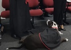 Cão de assistência liga alerta ao notar tutor autista nervoso em formatura