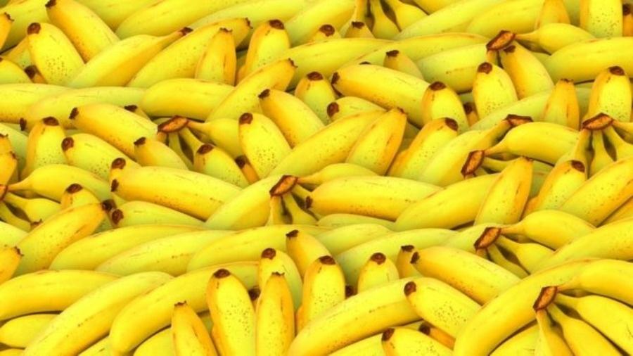Assim como a covid-19, doença que acomete bananas está se espalhando para novos países, forçando a indústria a mudar a forma como a fruta mais consumida do mundo é cultivada e até mesmo seu sabor - Getty Images
