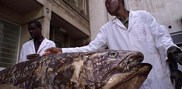 Prehistoric fish have been found on the island