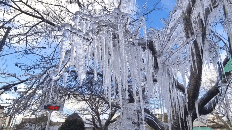 Frio em São Joaquim, em Santa Catarina, na manhã de hoje - Mycchel Legnaghi/São Joaquim Online