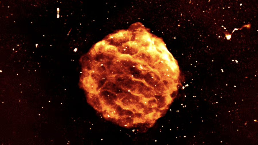 Setonix coletou centenas de dados de telescópios para gerar esta imagem dos remanescentes da explosão de uma estrela morta - Wasim Raja/CSIRO; Pascal Elah/Pawsey