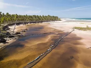 Manchas de óleo em praias no NE completam 5 anos sem denúncia e sem punidos