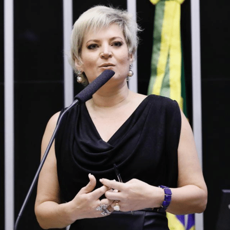 Deputada Joice Hasselmann - Divulgação