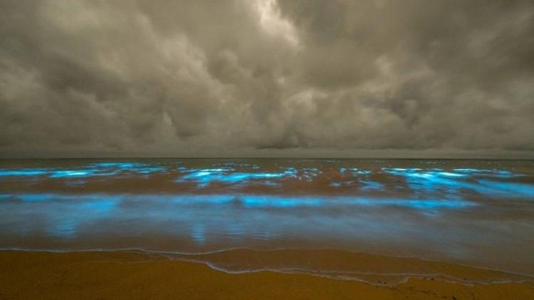 Bioluminescência nas águas da Tasmânia - Brett Chatwin - Brett Chatwin