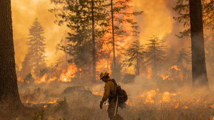 Incêndio em Park Fire, na Califórnia (EUA), em julho de 2024