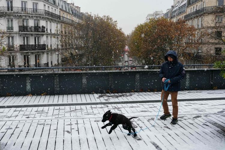 Pedestre anda com cachorro nas ruas de Paris; neve chegou mais cedo em 2024 na capital francesa