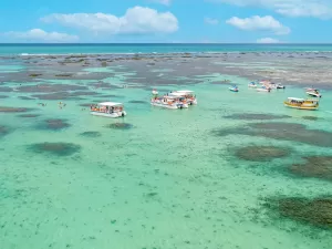 Piscinas naturais de Maragogi: veja para onde ia catamarã que afundou