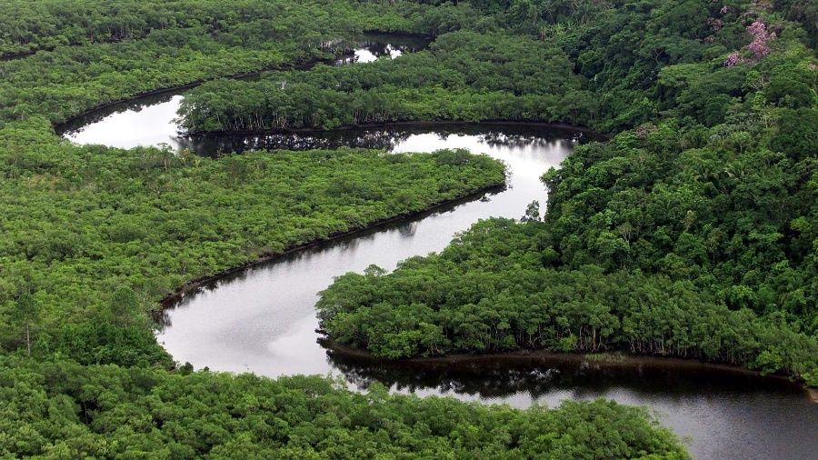 Reserva ambiental da Jureia, em Peruíbe, no litoral sul de São Paulo, que ainda detém parte da Mata Atlântica nativa do estado - Juca Varella/Folhapress