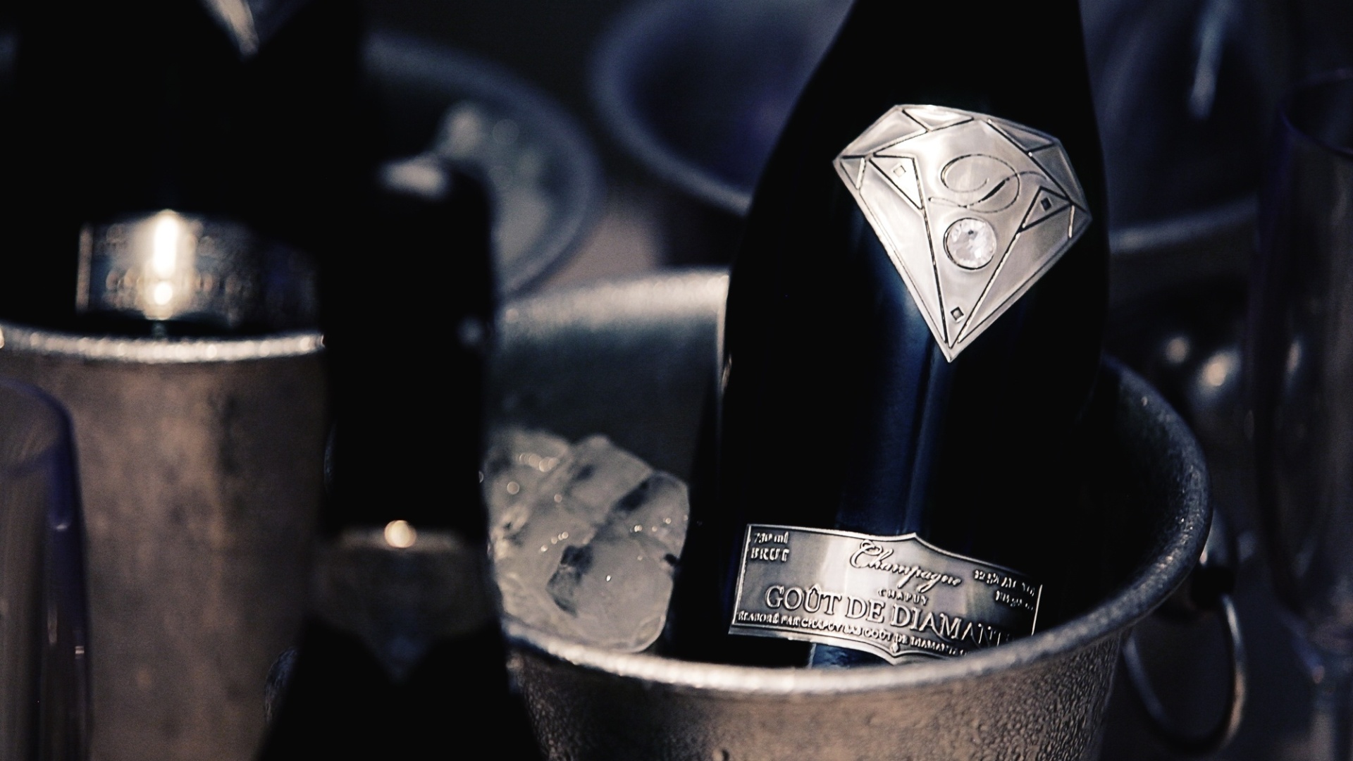 marca de roupa champagne