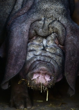 Johannes Eisele/AFP