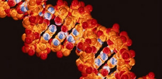 Vírus modificado foi utilizado para corrigir mutações ocorridas no DNA dos pacientes  - SPL