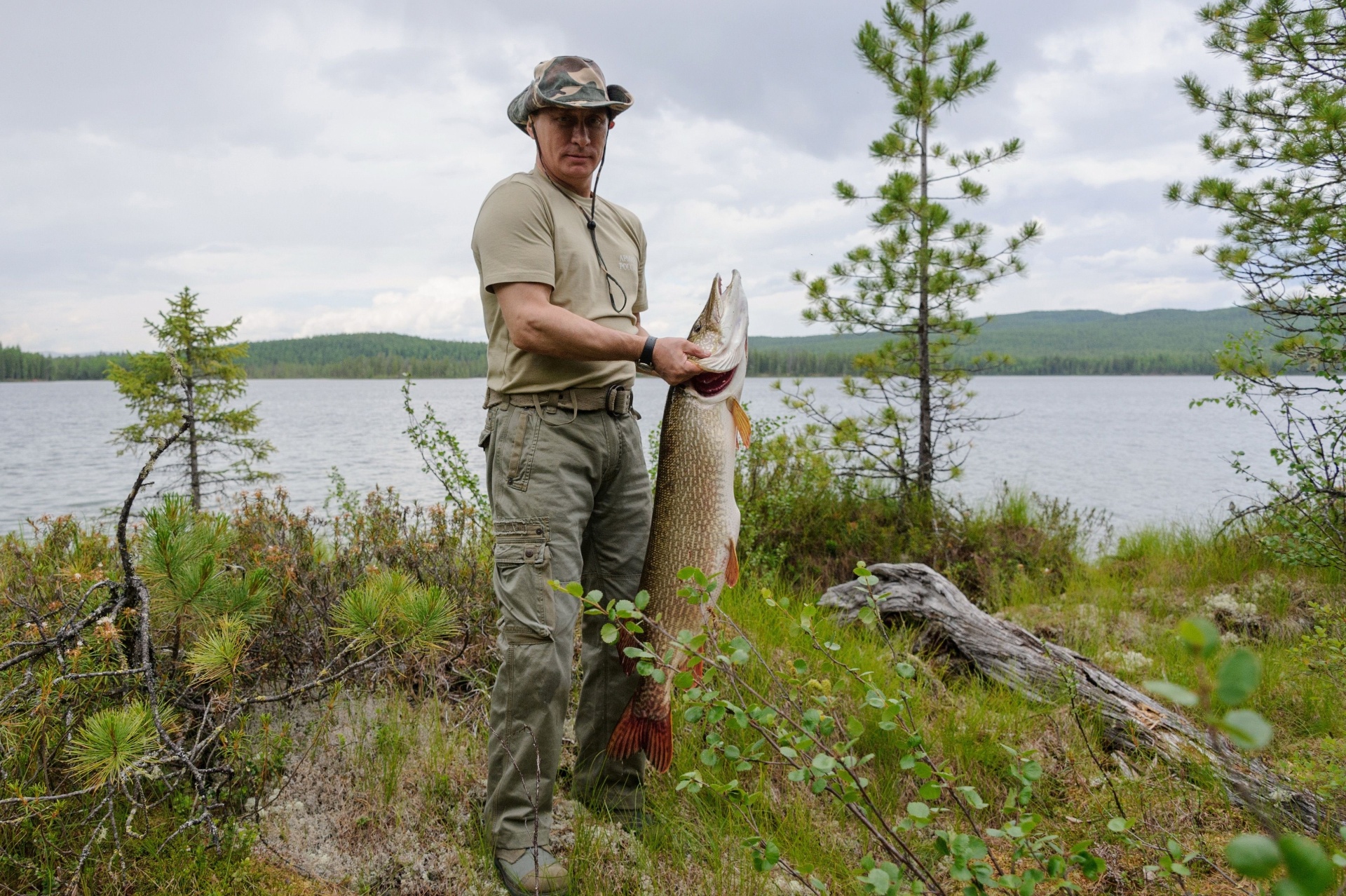 Jul 29, 2013 - Russian President Vladimir Putin posed with a giant fish he caught on vacation.  Official sources say that the animal weighs about 21 kilograms, but Russian netizens say the fish will not weigh more than 12 kilograms, and Putin's story sounds like fisherman talk.