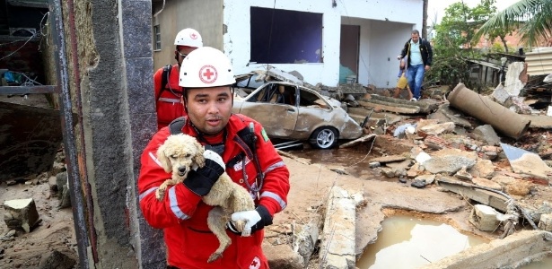 Cachorro é resgatado após destruição provocada por rompimento de adutora na zona oeste do Rio - Fernando Maia/UOL