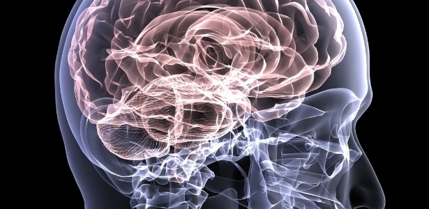 Transplante de cabeça é considerado impossível pela medicina - Shutterstock