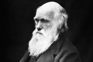 No século 19, Darwin achava que as mulheres eram inferiores - wikimedia commons - wikimedia commons