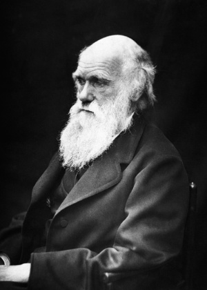 O naturalista e geólogo inglês Charles Darwin pode ser o personagem principal de um filme de aventura da Disney - wikimedia commons