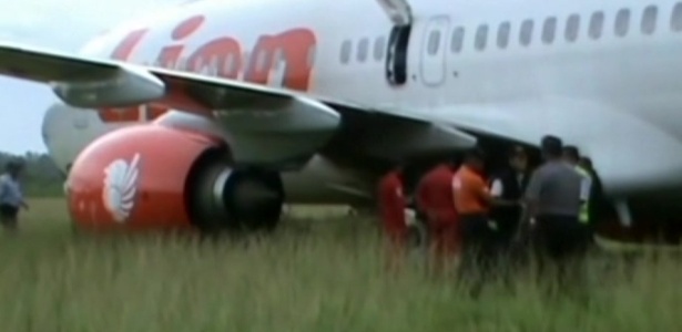 Piada pronta: avião que matou a vaca é da companhia Lion Air (leão, em inglês) - Reuters