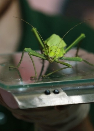 Suzanne Plunkett/Reuters