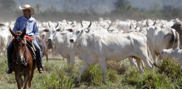 Fernando Bizerra Jr./EFE