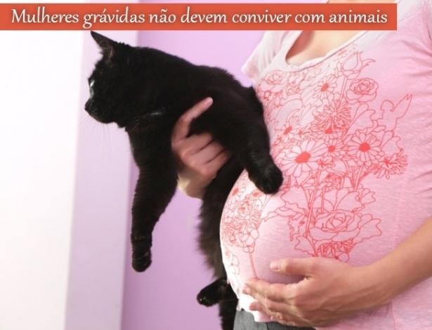 VIREI PAPAI DE UM BEBÊ GATO NO CAT SIMULATOR! 