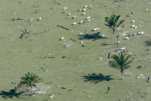 As principais fontes de metano incluem a agricultura, os campos de petróleo e gás e os aterros sanitários - Fernando Bizerra Jr/Efe