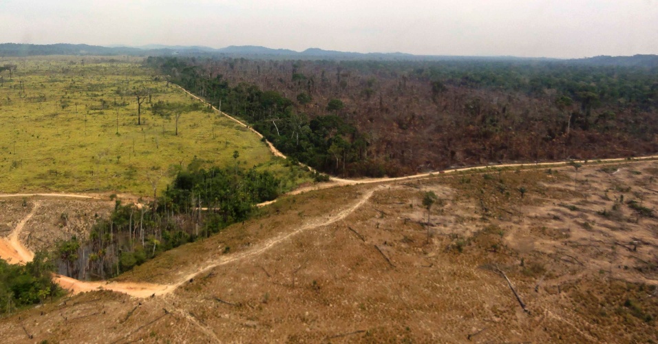 Resultado de imagem para Governo avalia redução de florestas na Amazônia sem ouvir Meio Ambiente