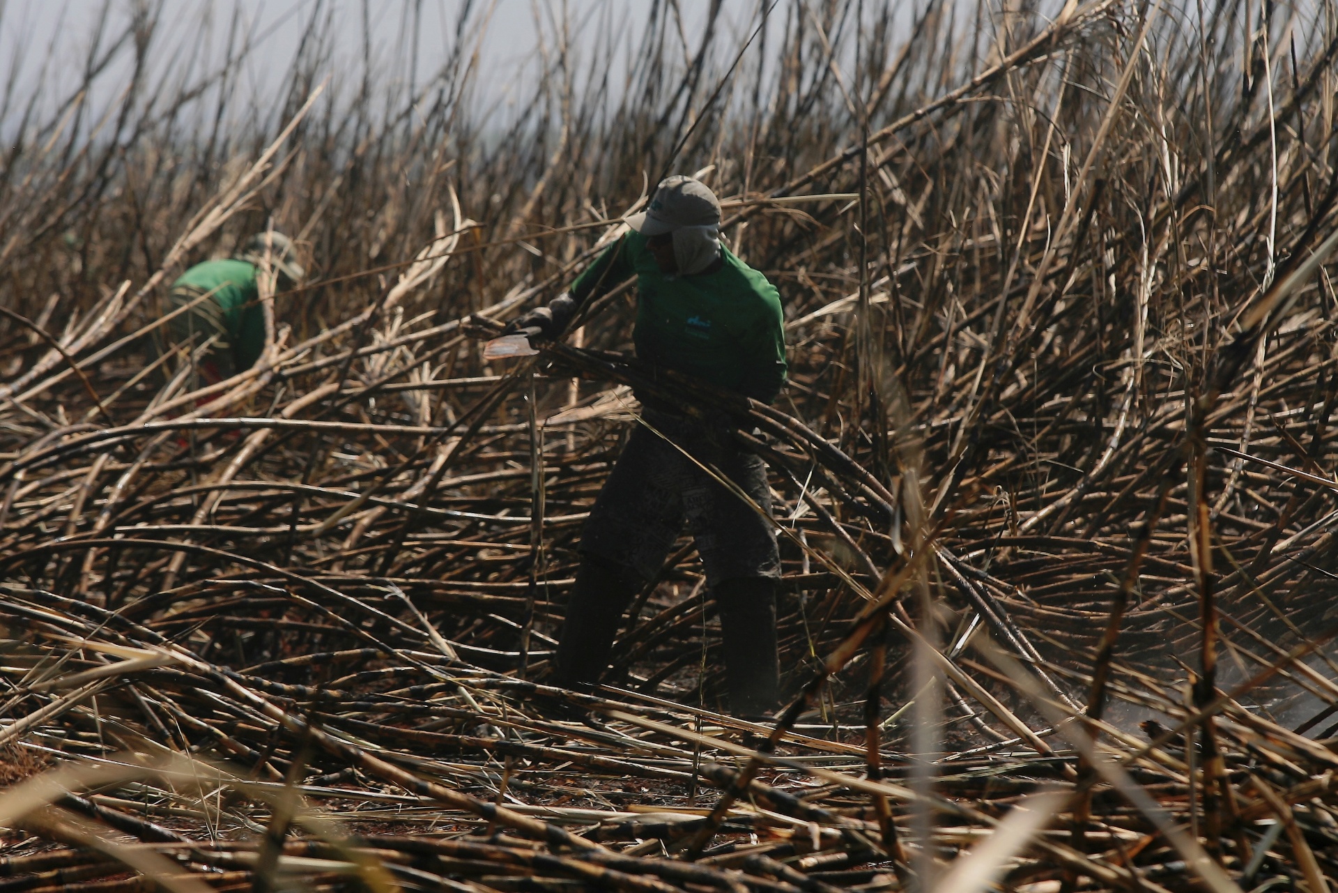Caldo de cana sai da feira e vai para garrafa e caixinha longa vida 18/10/2013 UOL Economia