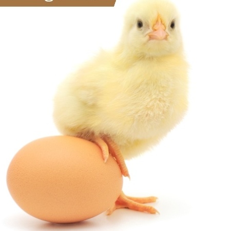 ThinkStock/UOL