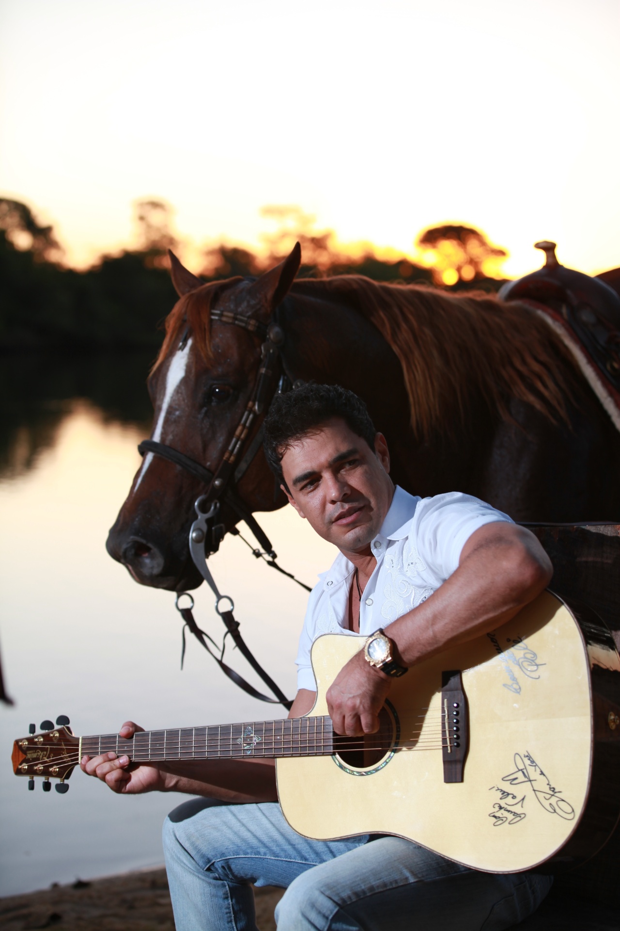 Zezé Di Camargo possui, entre os mais de 500 animais da fazenda É o Amor, três vacas que valem R$ 1,5 milhão no mercado - Divulgação/Fazenda É o Amor