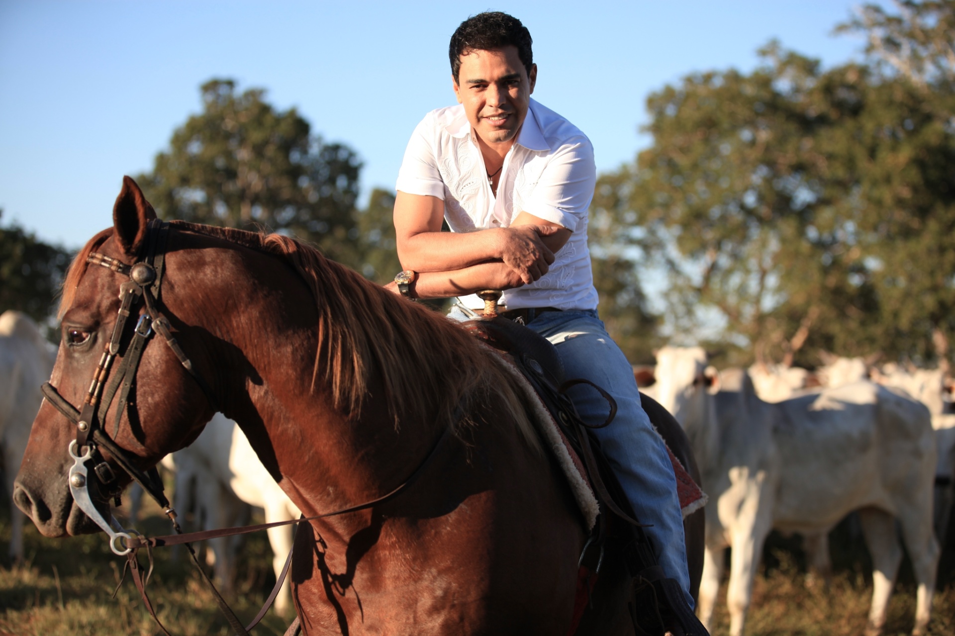 O sertanejo Zezé Di Camargo tem a pecuária como segunda profissão. Dono da fazenda É o Amor, localizada em Araguapaz (GO), o cantor cria gado da raça nelore e pretende se tornar o principal produtor de melhoramento genético do país - Divulgação/Fazenda É o Amor